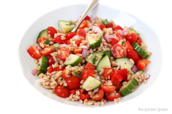 Bowl of farro salad with cucumber and tomato
