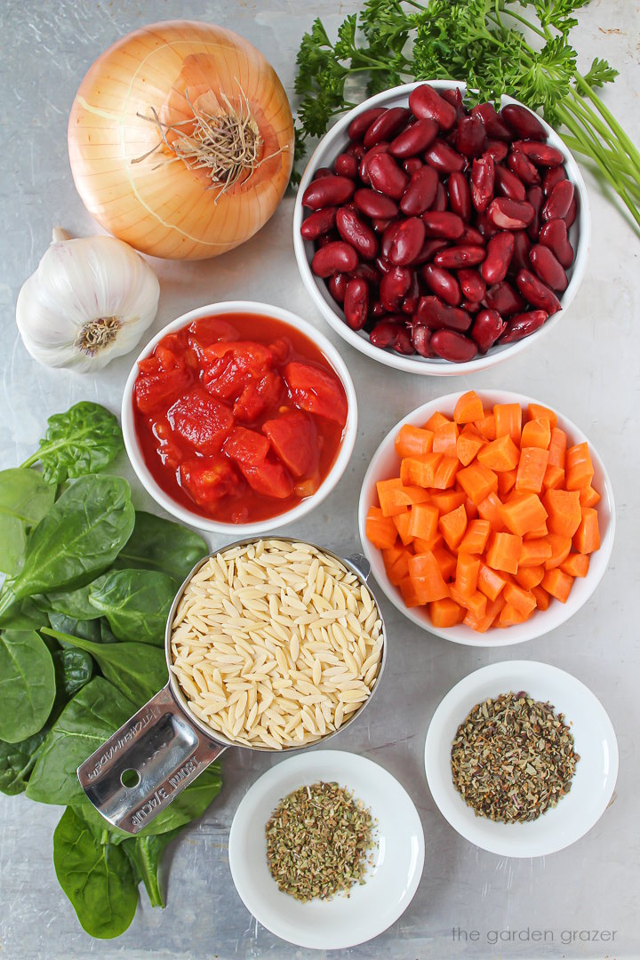 Red beans, tomatoes, onion, garlic, carrot, and dried herb ingredients laid out on a metal tray