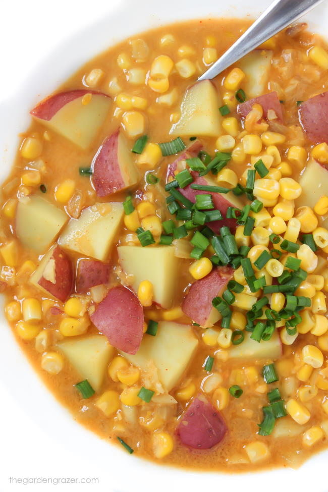 Close-up view of a bowl of vegan corn and potato chowder with spoon