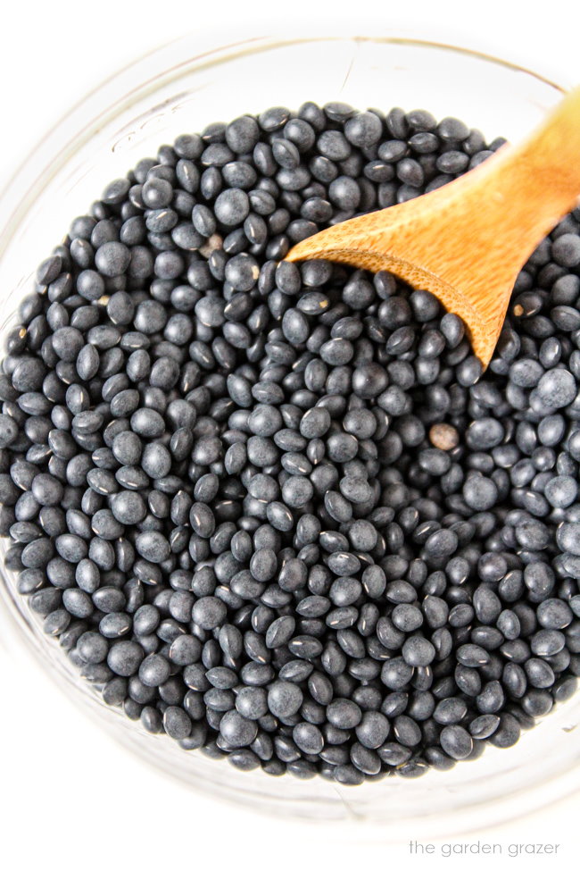 Black beluga lentil ingredient in a glass jar with wooden spoon