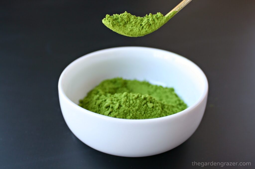Bamboo scoop holding organic ground matcha tea powder