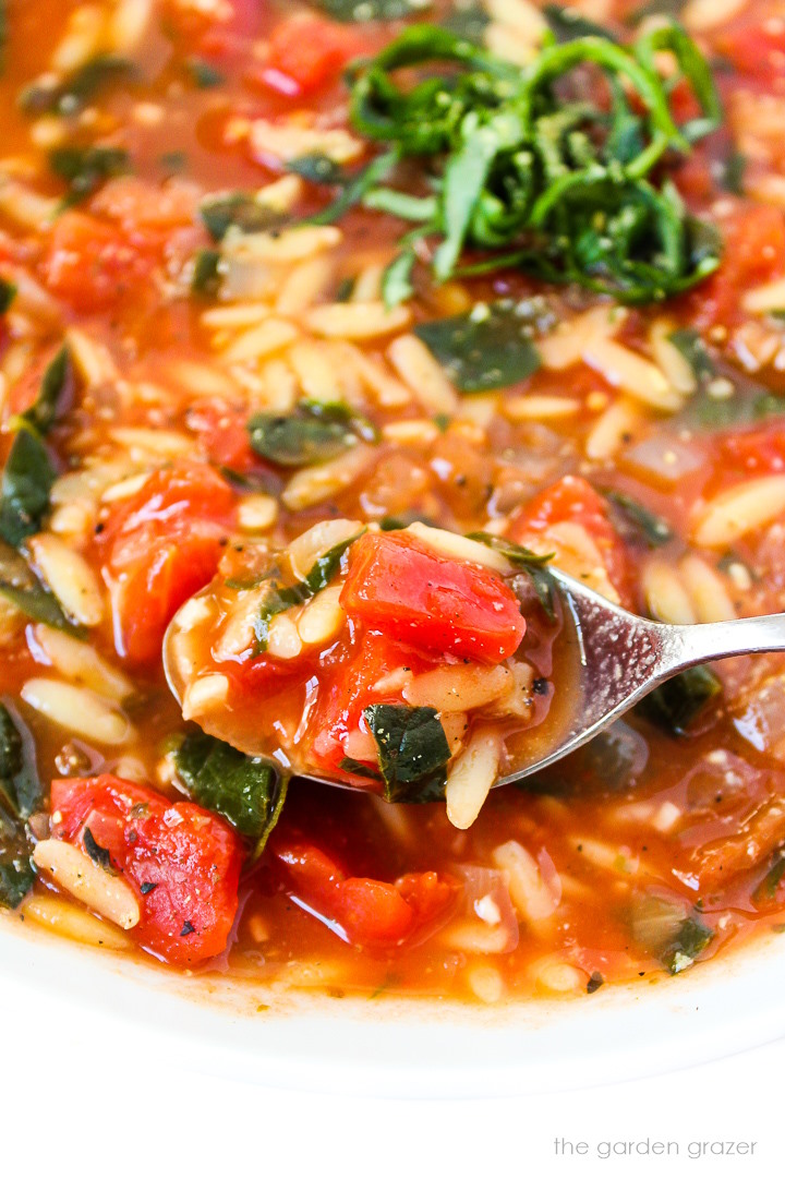 Close-up view of spoon lifting up tomato orzo soup from a white bowl