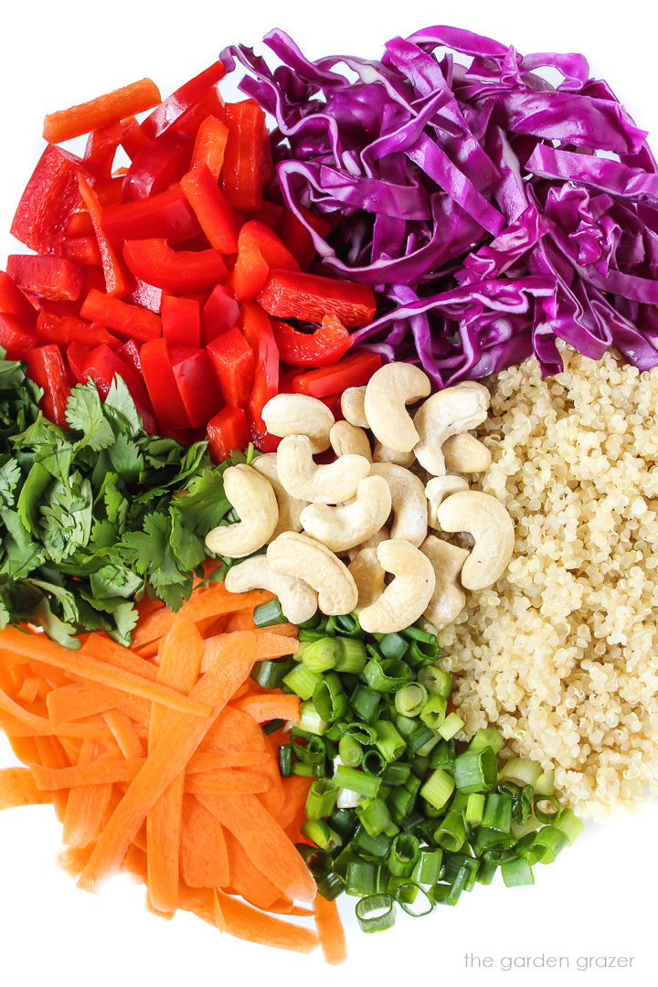 Fresh salad ingredients like cabbage, carrot, and bell pepper laid out in a bowl