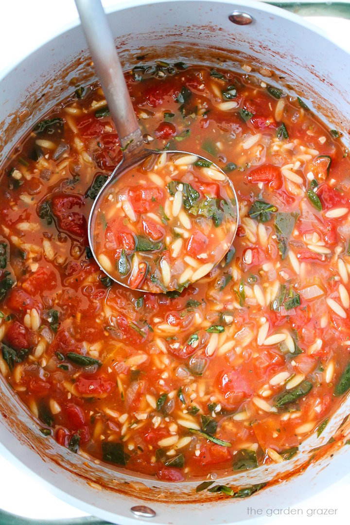 Overhead view of soup cooking in a large stockpot with ladle