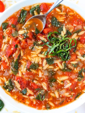 Tomato orzo soup cover photo