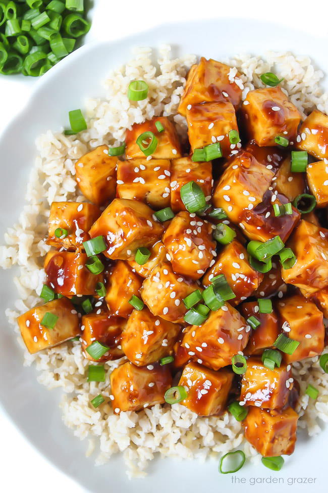 Plate of teriyaki tofu on brown rice topped with green onions