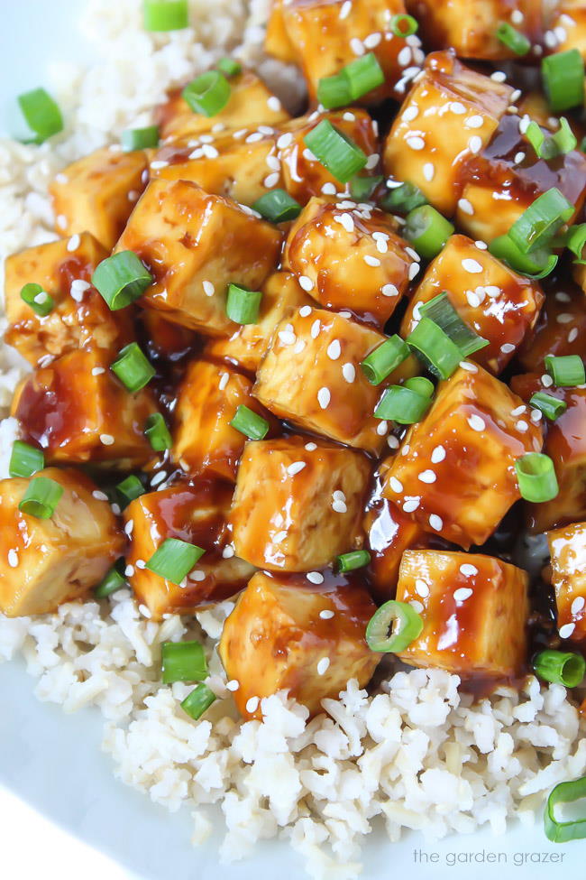 Baked teriyaki tofu on brown rice with green onions