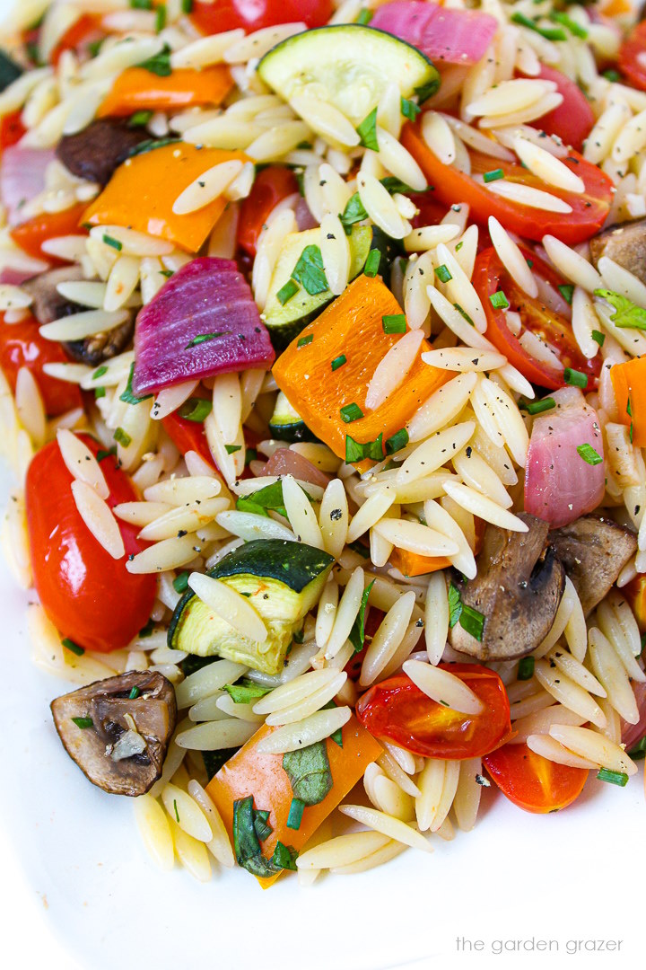 Close up view of roasted vegetable orzo with lemon and herbs on a white plate