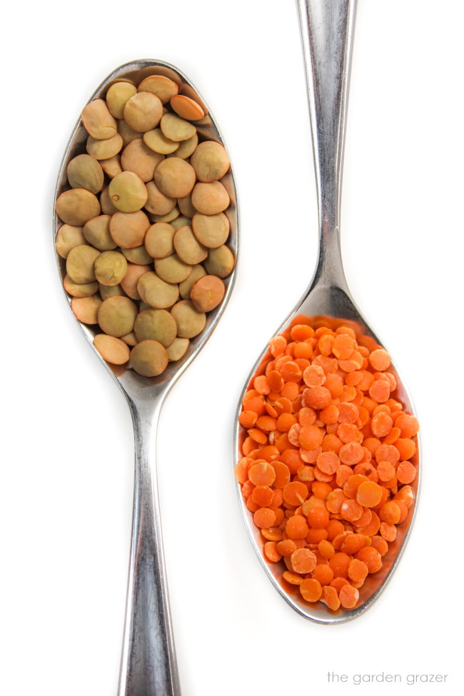Dry red lentils and brown lentils on metal spoons