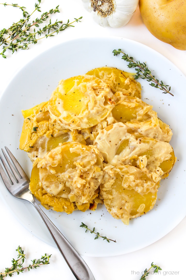 Vegan scalloped potatoes on a white plate with fork and fresh thyme