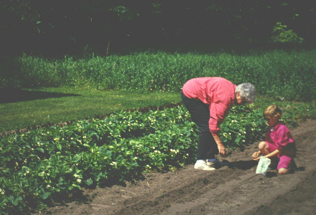 Young Kaitlin planting seeds in a garden with her grandma