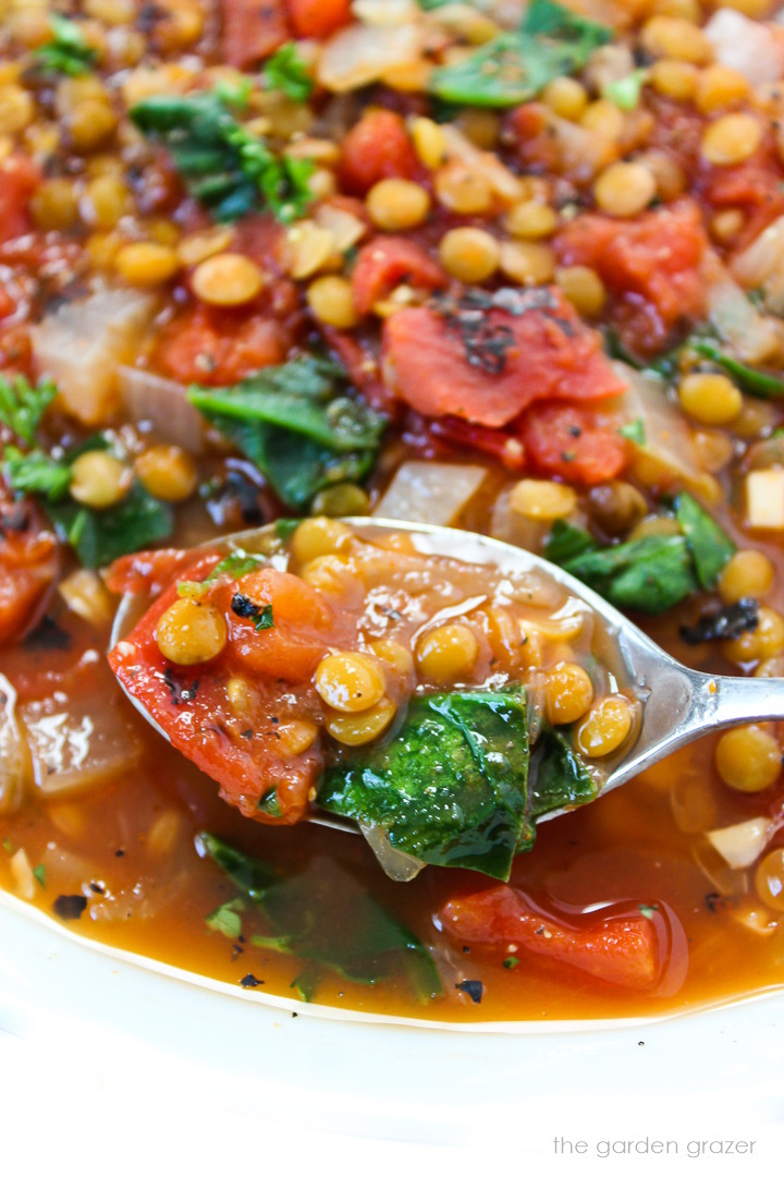 Close-up view of a spoon scooping up smoky tomato lentil soup with spinach from a white bowl