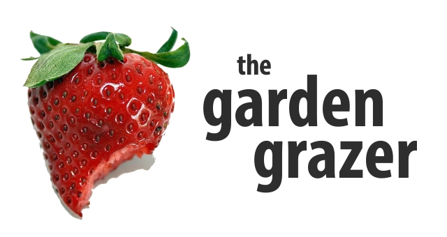 The Garden Grazer