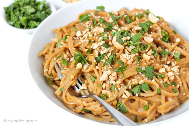 Spaghetti pasta tossed with peanut sauce in a white bowl topped with fresh cilantro