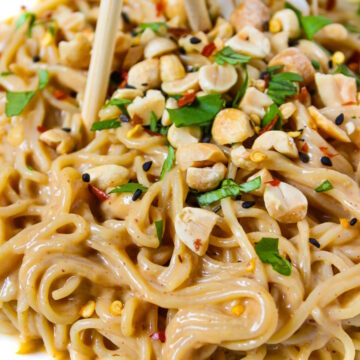 Close up view of easy vegan peanut noodles on a white plate with fresh cilantro