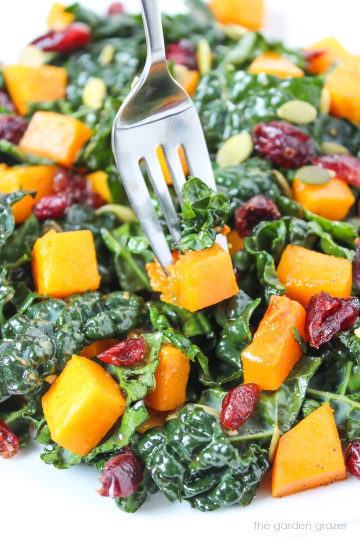 Close up view of a fork picking up butternut squash kale salad from a white plate