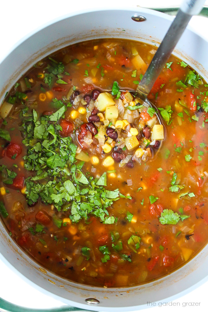 Overhead view of southwest black bean soup simmering in a large pot with ladle