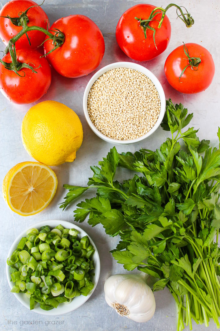 Vine tomatoes, lemon, fresh parsley, green onion, and garlic ingredients laid out on a metal tray
