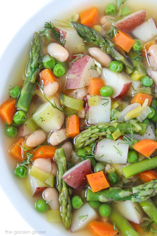 Bowl of vegan spring minestrone soup with fresh dill