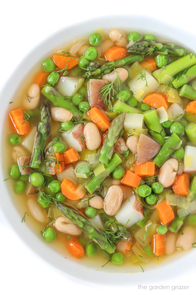 Bowl of vegan Spring Minestrone soup with fresh dill