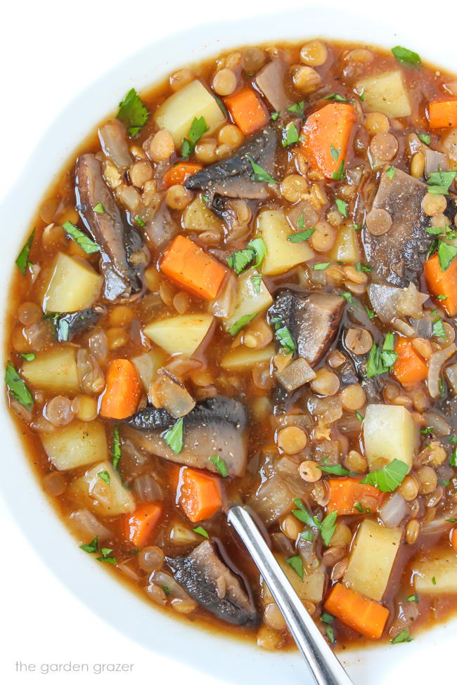 Vegan mushroom potato lentil stew in a bowl with spoon