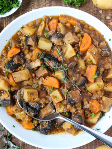 Portobello mushroom stew cover photo