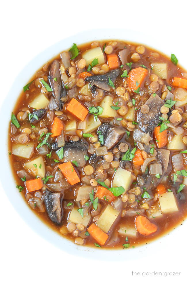 Vegan Potato Stew in a bowl with carrot, mushroom, and lentils