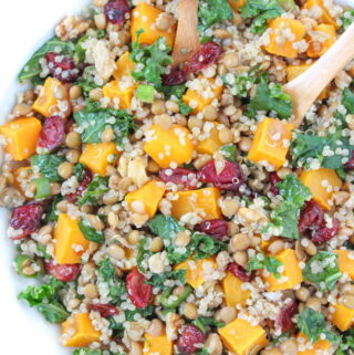 Lentil Quinoa Fall Salad with butternut squash and kale in a bowl