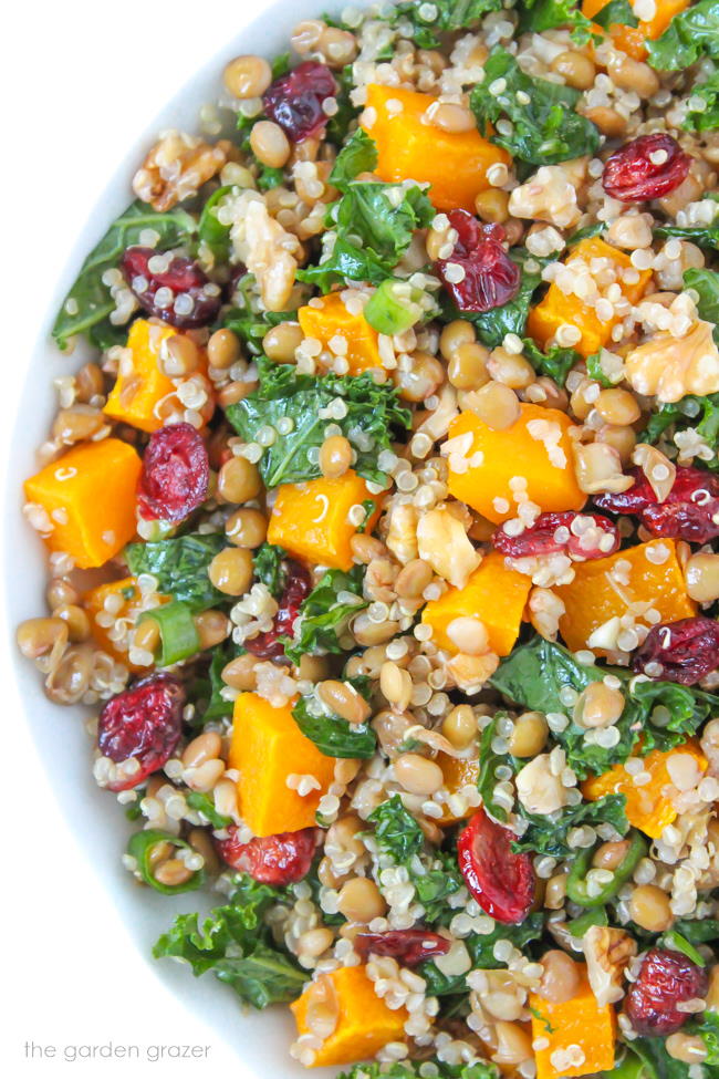 Vegan lentil quinoa autumn salad with butternut squash and kale in a bowl