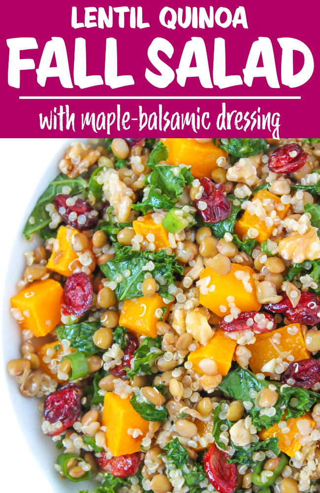Lentil Quinoa Fall Salad photo collage