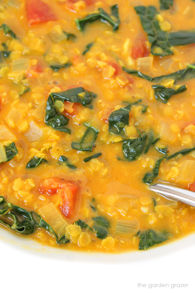 Bowl of vegan coconut curry lentil soup with kale