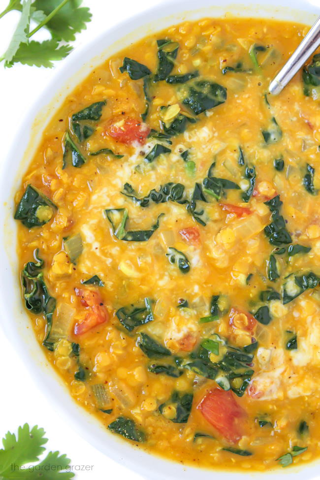 Vegan coconut curry lentil soup in a bowl with spoon