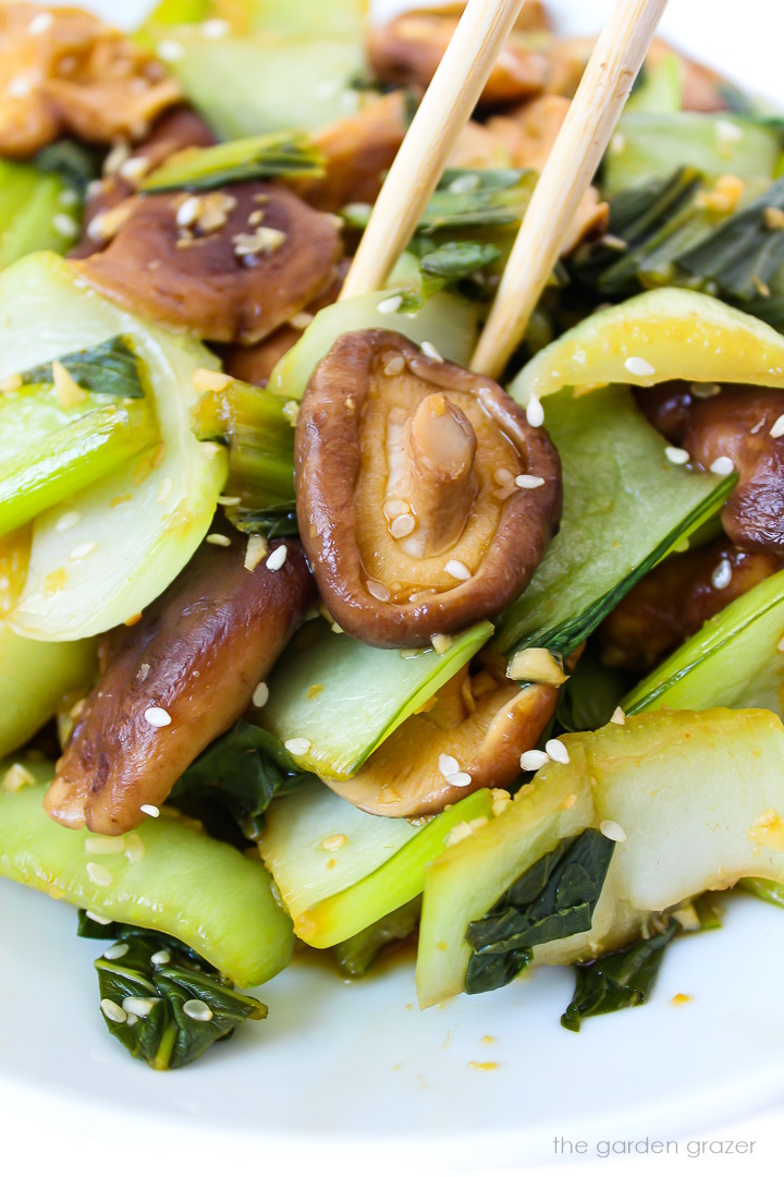Close up view of garlic bok choy and mushrooms with chopsticks