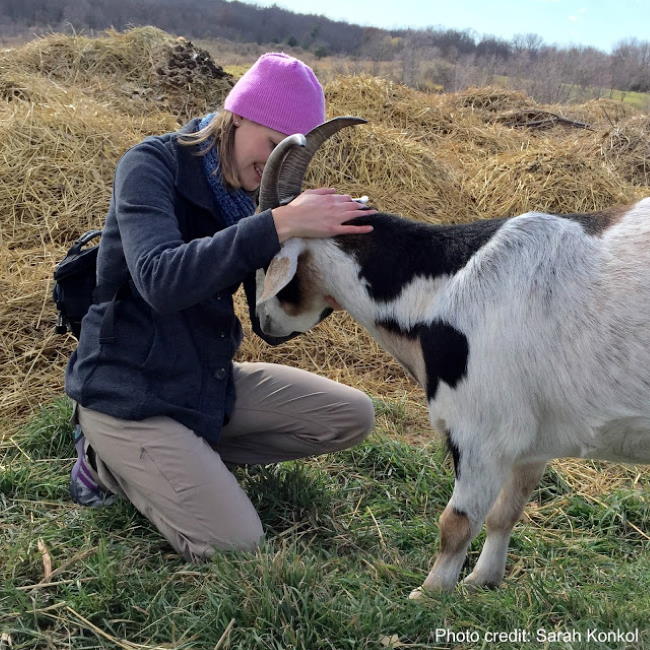 Sitting next to Michael the Goat at Heartland farm sanctuary in Madison Wisconsin