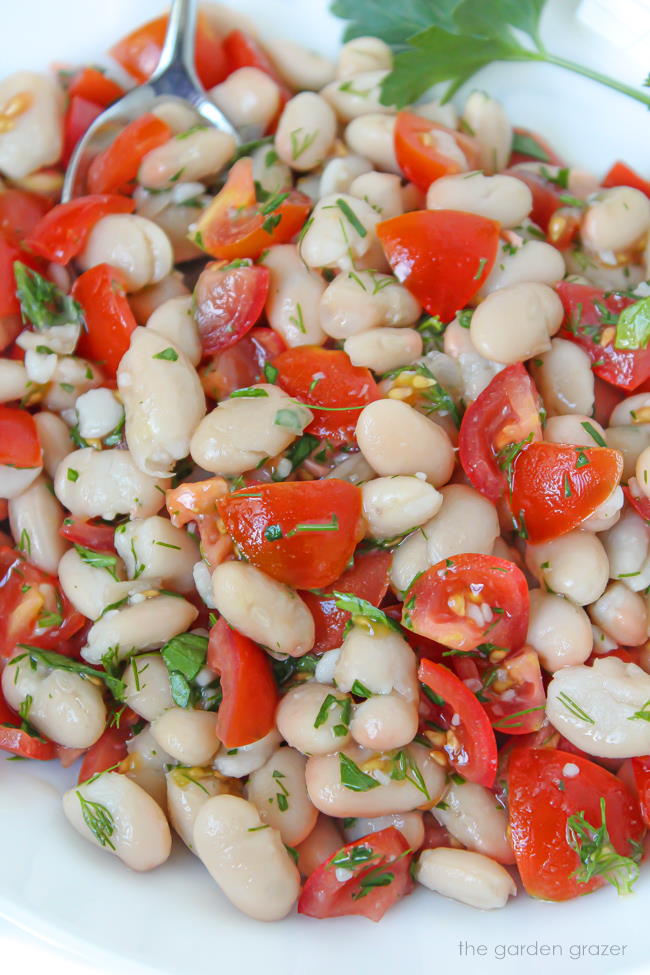 White bean salad on a white plate with fresh herbs and tomato