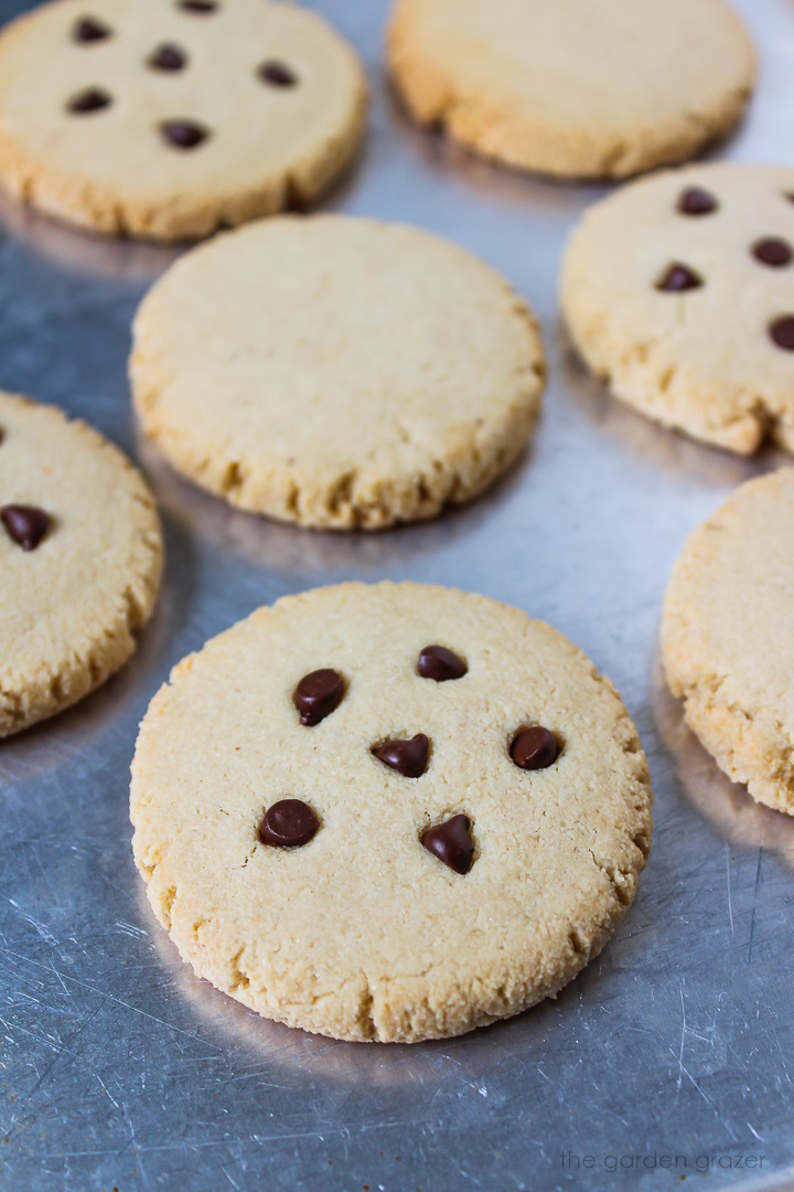 Baked vegan almond flour cookies with maple syrup on a sheet pan