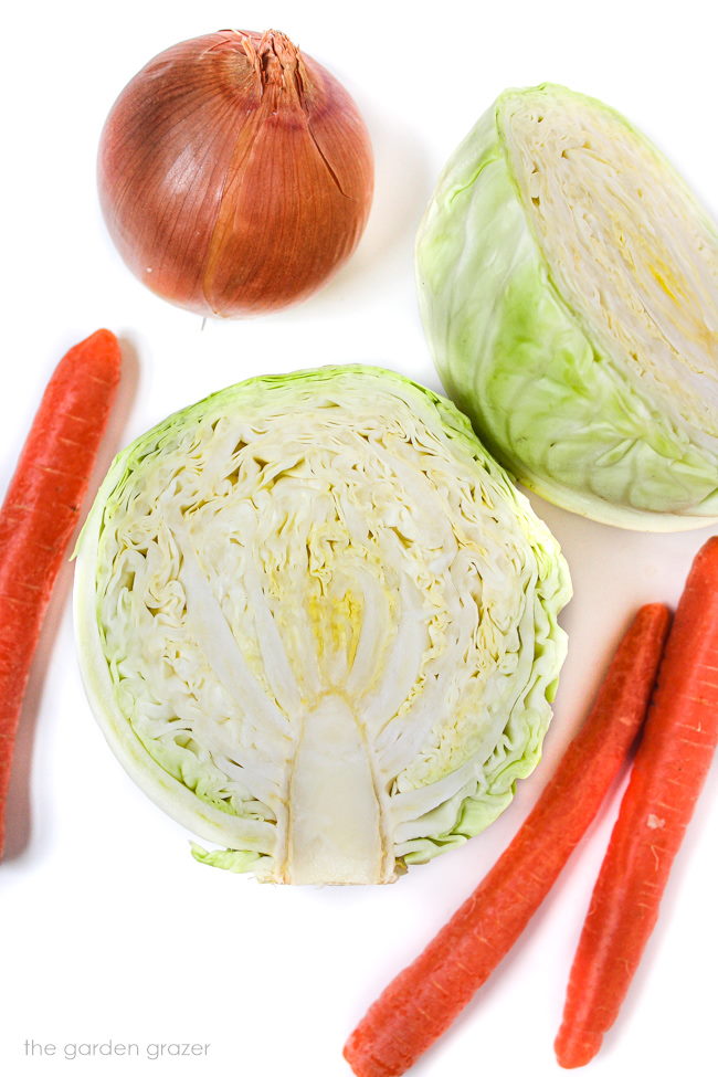 Raw cabbage, carrot, and onion ingredients on a white table