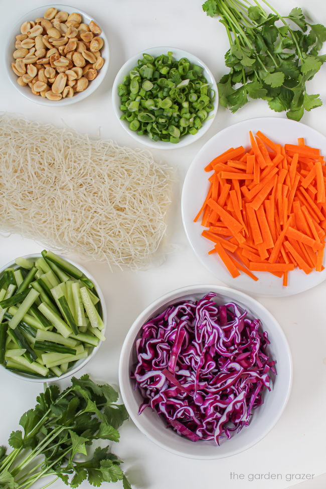 Rice noodles and raw sliced ingredients set out on a white table