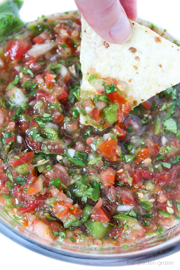 Tortilla chip dipping into a bowl of salsa