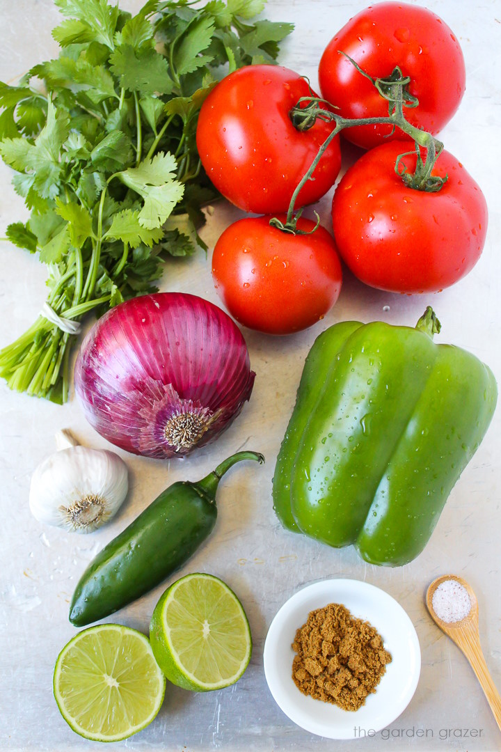 Fresh tomatoes, cilantro, onion, bell pepper, garlic, lime, and spice ingredients laid out on a metal tray