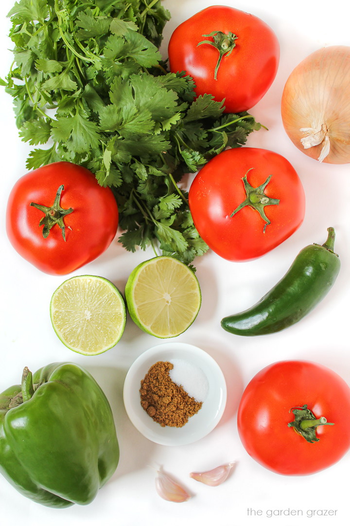 Fresh cilantro, tomatoes, lime, onion, and green bell pepper ingredients on a white table