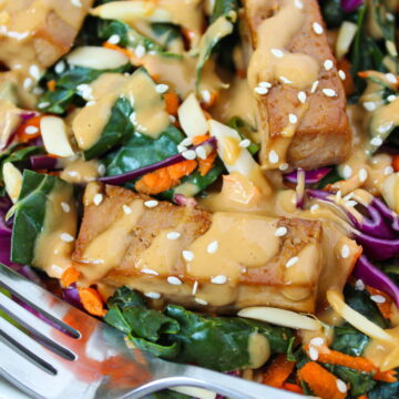 Close up view of Asian-style Kale Salad with baked tofu and peanut dressing on top