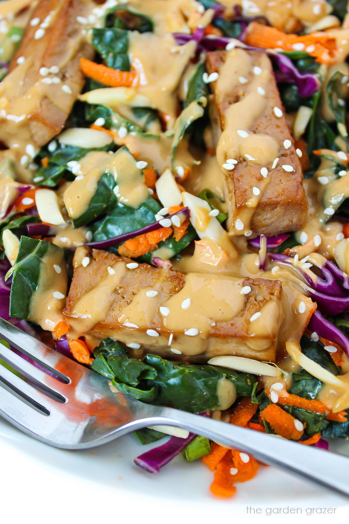 Close up view of Asian-style Kale Salad with baked tofu and peanut dressing on top