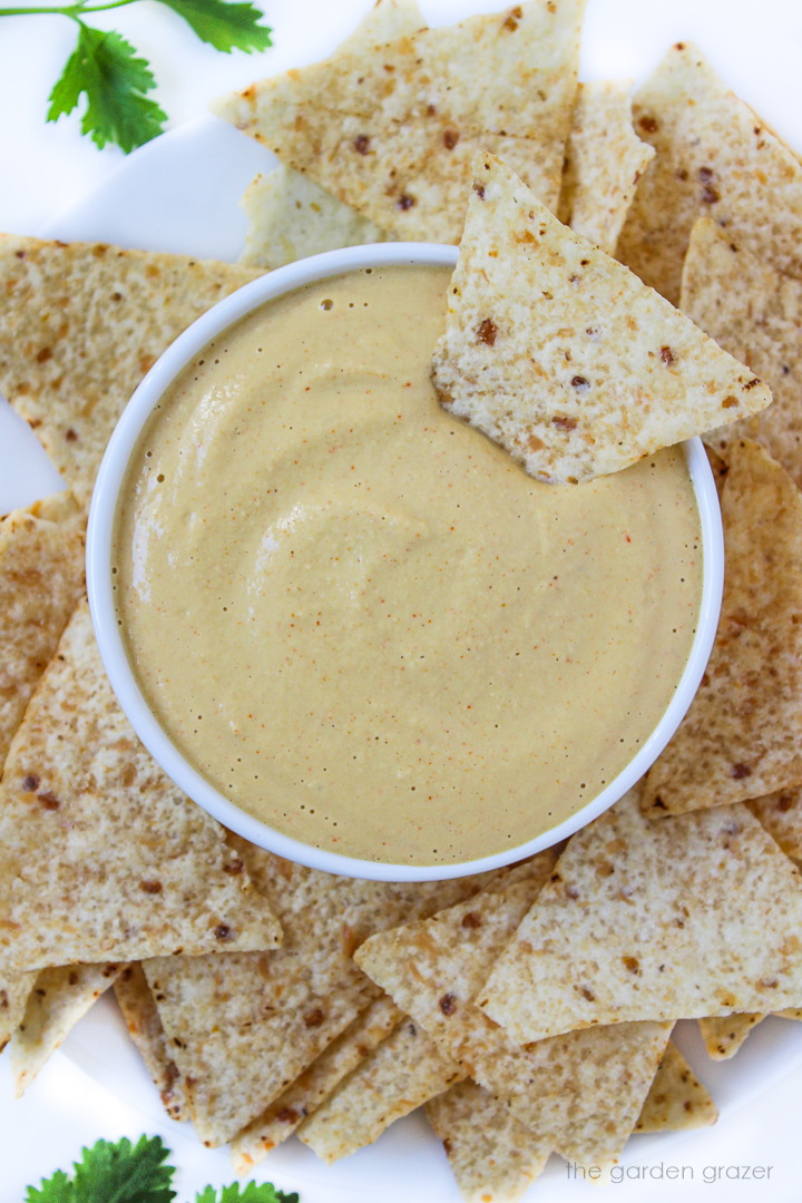 Cashew queso in a white bowl surrounded by tortilla chips