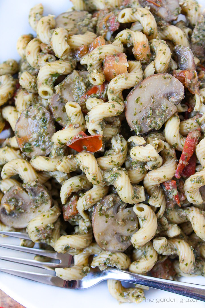 Close up view of mushroom pesto pasta on a white plate with fork