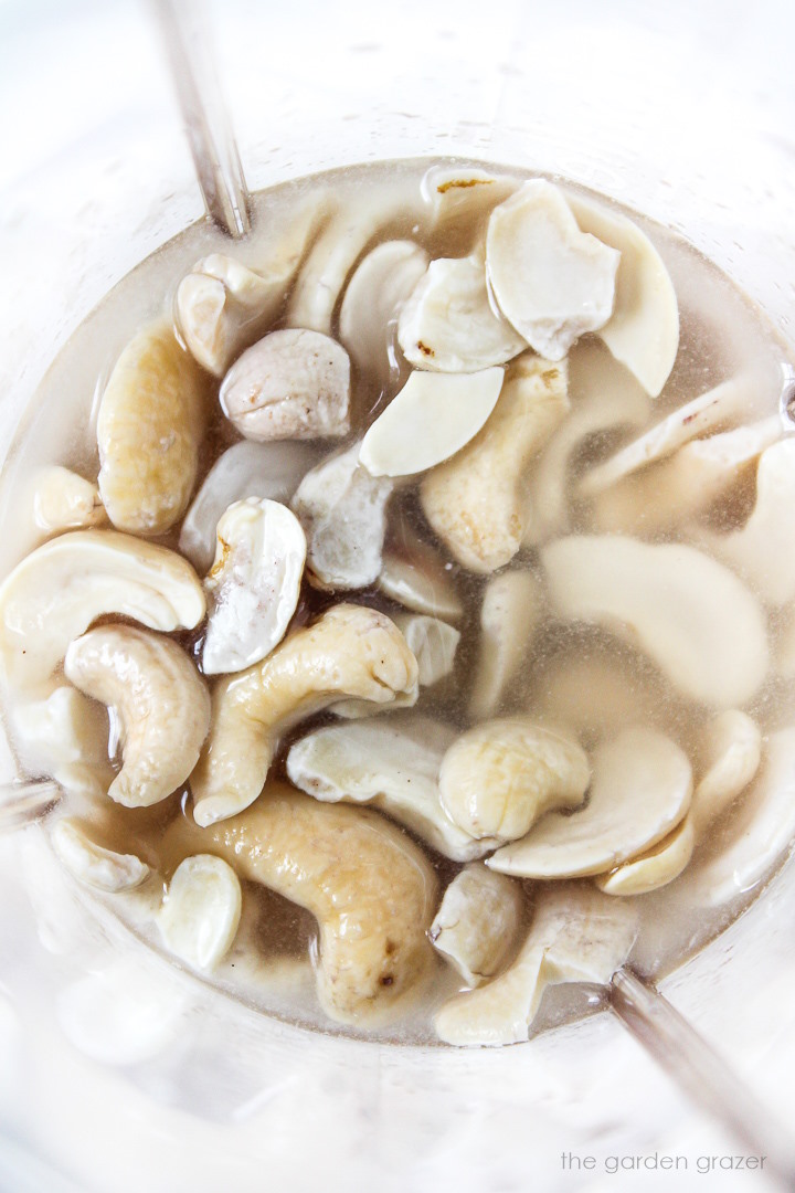 Raw cashews, water, vinegar, and lemon in a small blender before blending