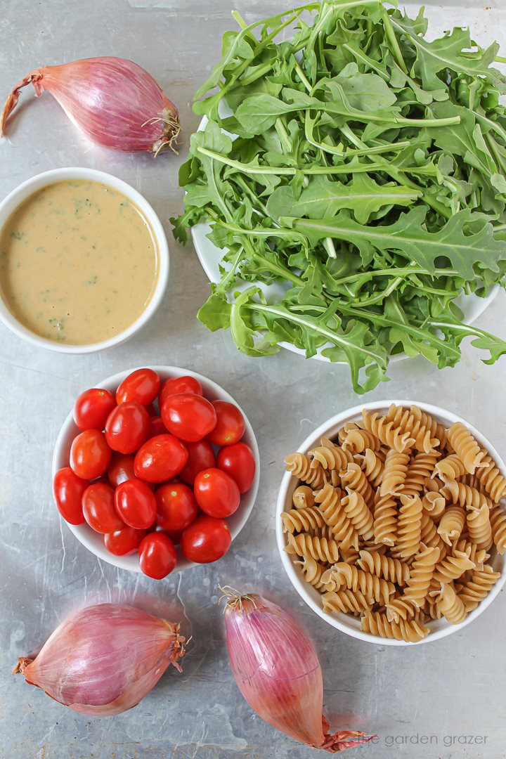 Fresh greens, pasta, shallots, dressing, and tomato ingredients laid out on a tray