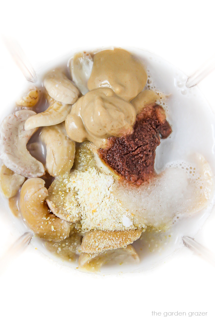 Overhead view of cashew mayo ingredients in a small blender before blending
