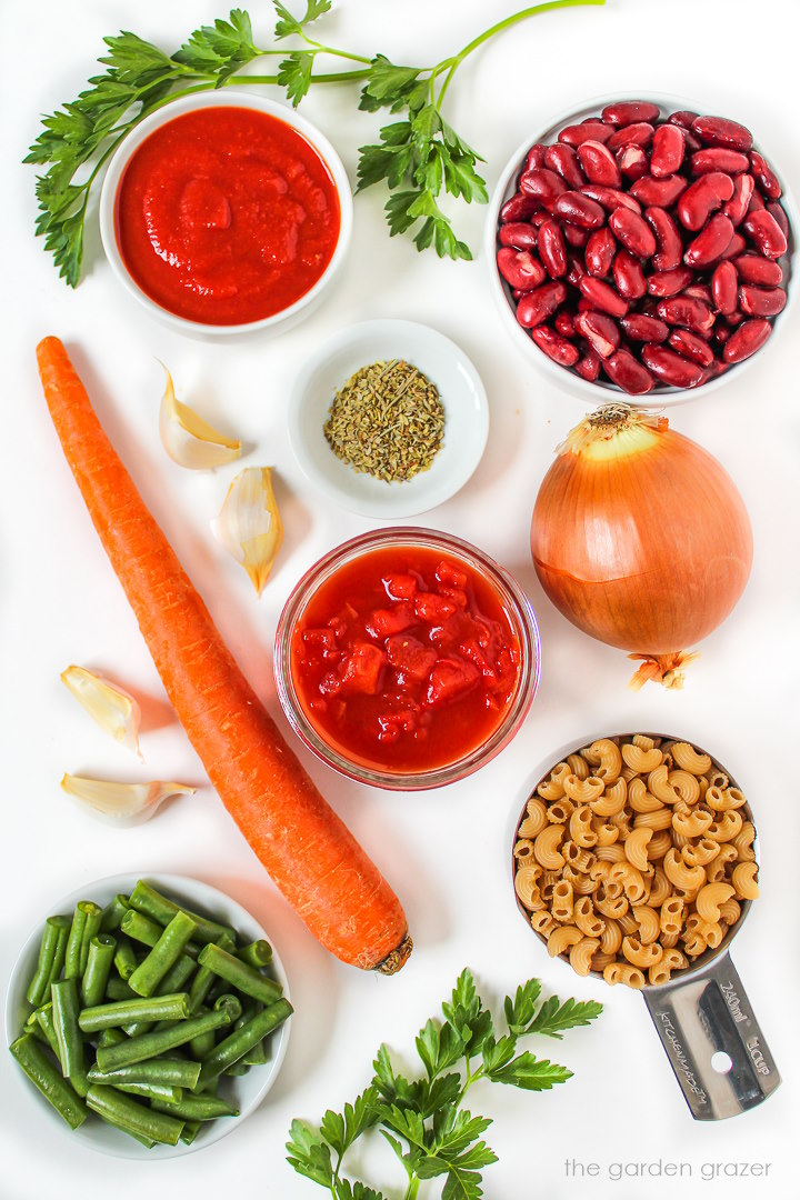 Fresh carrot, onion, garlic, beans, pasta, and seasoning ingredients laid out on a white table