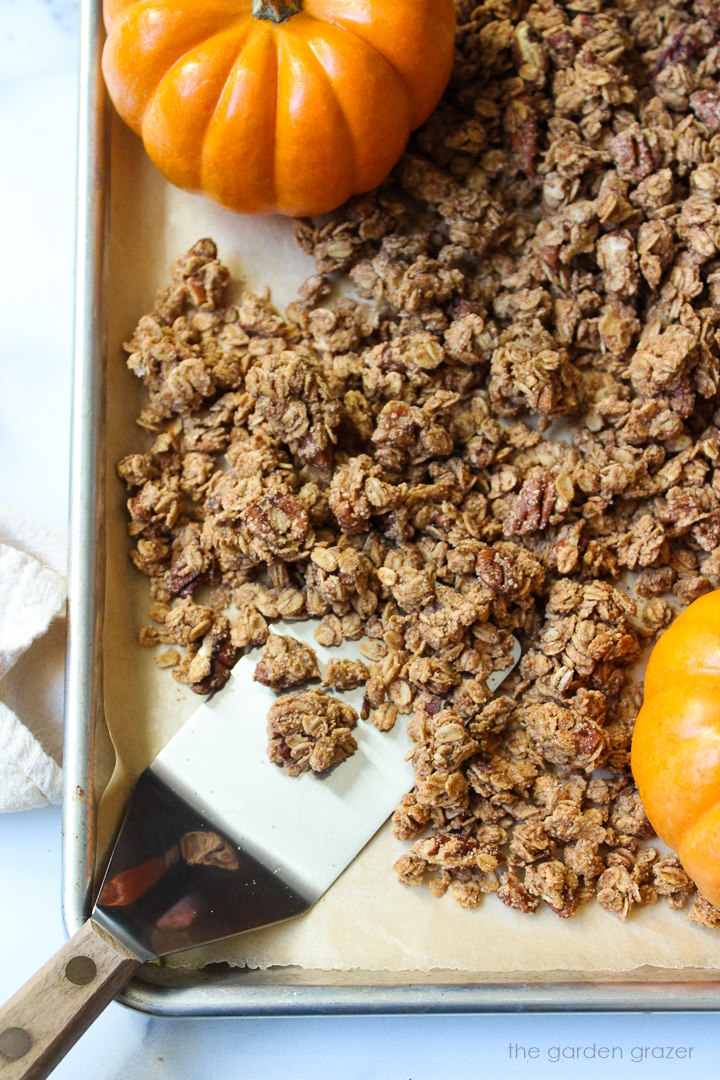Overhead view of pumpkin spice granola after baking on a sheet pan with spatula